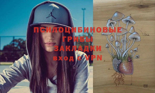 стаф Алексин