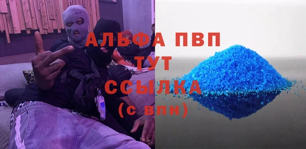 стаф Алексин